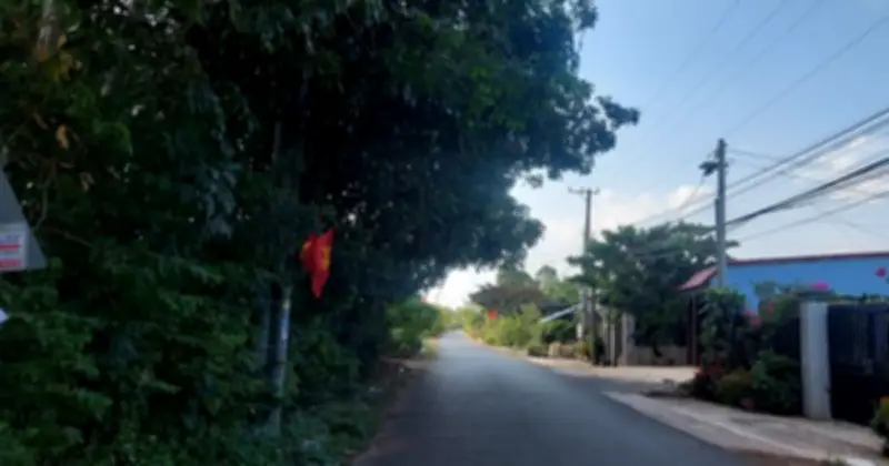Cây xanh xòe tán ra đường gây nguy hiểm cho người đi bộ