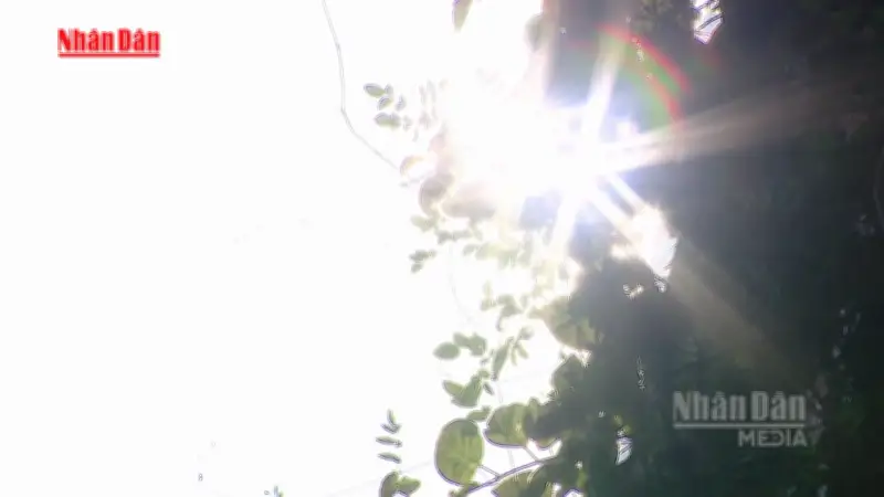 Dự báo nắng nóng gay gắt diện rộng trong tháng 5, nhiệt độ có thể vượt 40 độ C