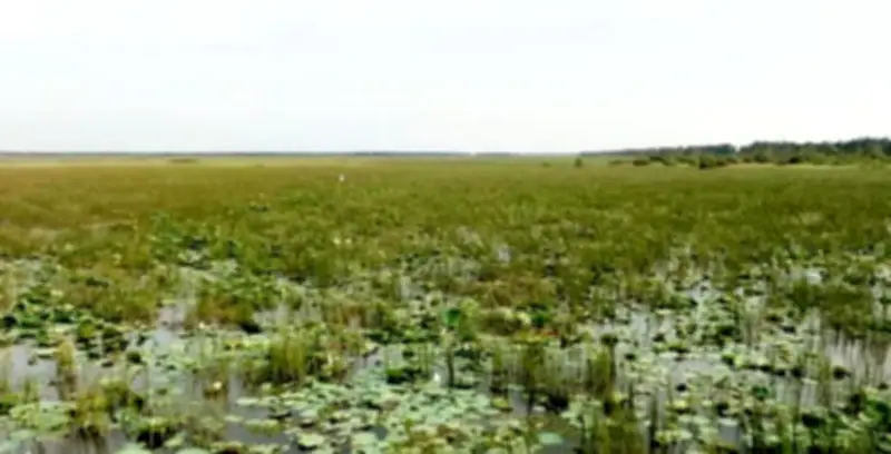 Dự án Australia hỗ trợ cộng đồng vùng đệm, GCF phê duyệt 72 triệu USD cho REDD+