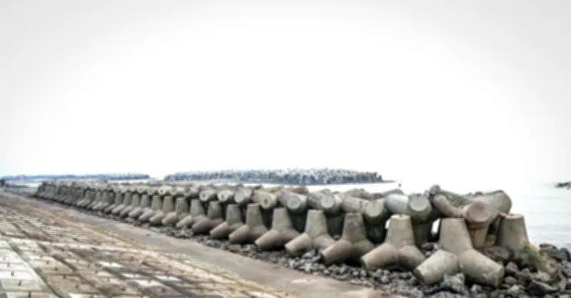 Dự án đê biển 500 tỷ đồng tại Ninh Bình đã hoàn thành 96%, hướng tới bàn giao trước 30/4