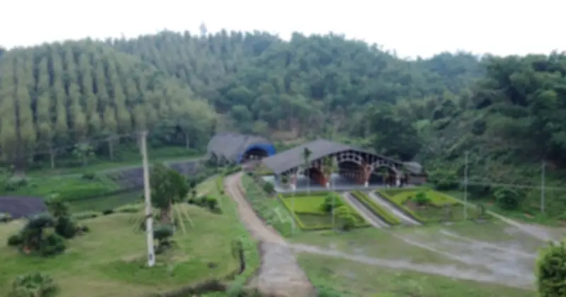 Dự Án Công Viên Tre Luồng Thanh Tam: Gần Thập Kỷ 'Án Binh Bất Động' Tại Thanh Hóa