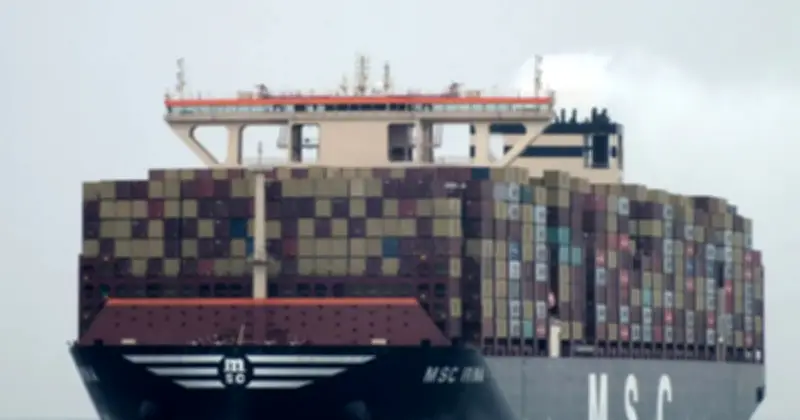 Dự án siêu cảng Cần Giờ: Hợp tác quốc tế với MSC, đầu tư 128.872 tỷ đồng