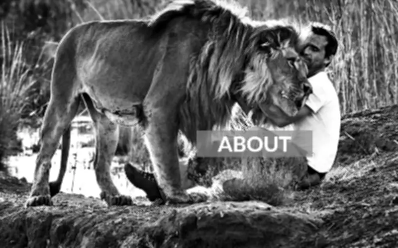 Dị nhân Kevin Richardson - Người thì thầm với sư tử giữa thảo nguyên Nam Phi