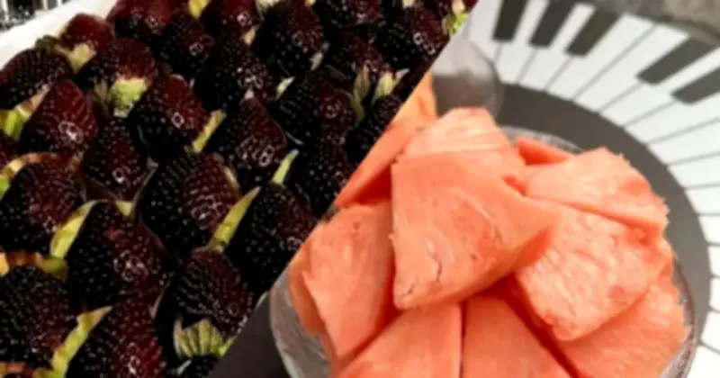 Dứa Hồng, Dâu Tây Đen: Bí Mật Đằng Sau Giá Trị 'Trên Trời' Của Trái Cây Màu Lạ