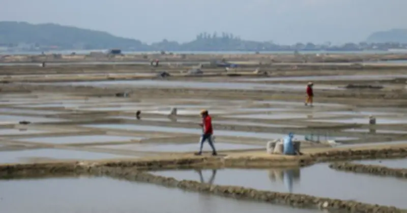 Diêm dân Sa Huỳnh đối mặt nghịch cảnh: Muối tan hết khi giá lên cao