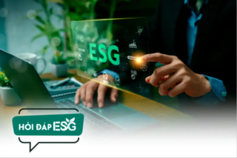 Doanh nghiệp Việt cần bắt đầu ESG thế nào để tránh làm cho có?