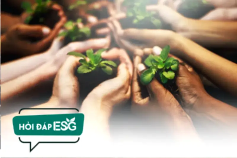 Doanh nghiệp Việt Nam chuyển từ nhận thức sang hành động trong tiêu chí S của ESG