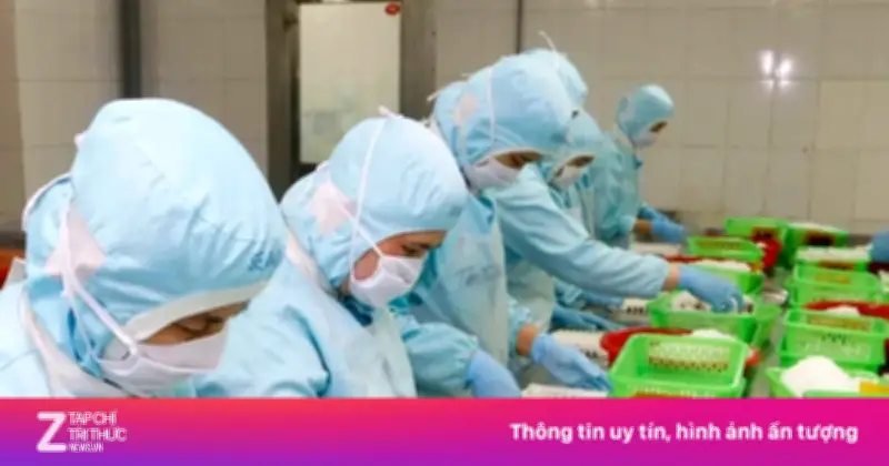 Doanh nghiệp xuất khẩu tôm Cà Mau 'cầu cứu' vì thiếu chứng thư vào EU
