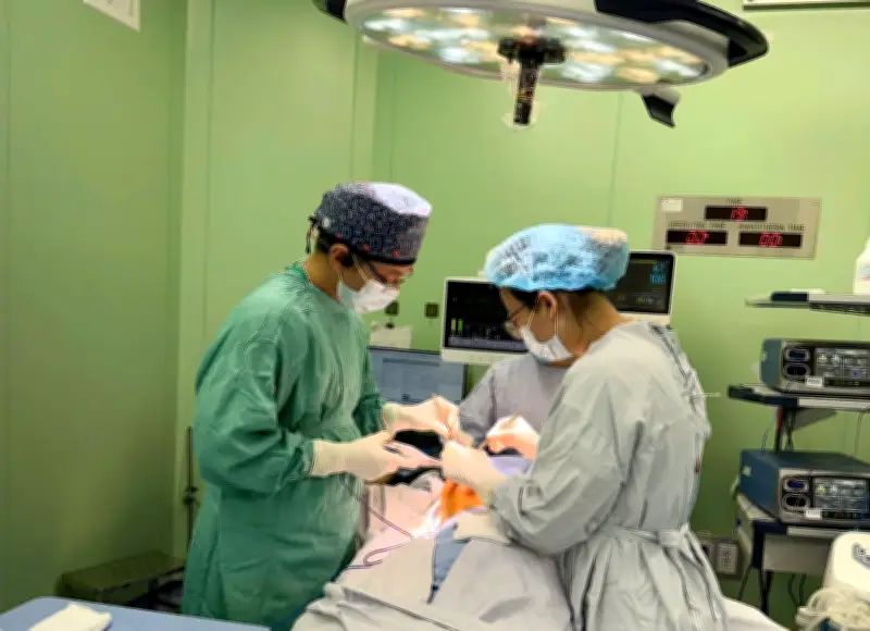 Du học sinh 26 tuổi trở về Việt Nam điều trị khối u vú khổng lồ 17cm