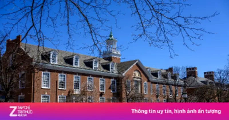 Du học sinh Việt tại Mỹ tăng 15%, lọt top 5 nguồn lớn nhất bất chấp biến động