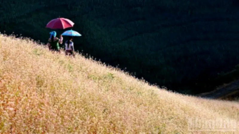 Du lịch Việt Nam chủ động ứng phó biến động, tập trung định vị điểm đến an toàn và hấp dẫn