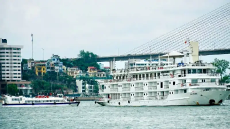 Du thuyền cao cấp khai thác tuyến liên vịnh Hạ Long - Lan Hạ, thu hút du khách quốc tế