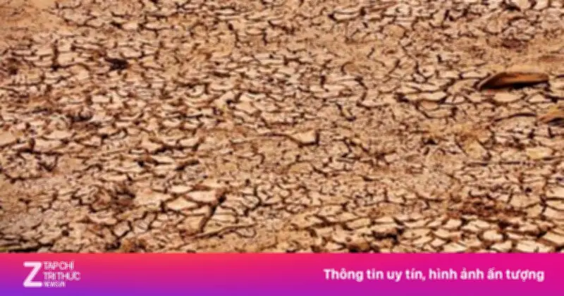 El Nino Cực Mạnh Có Thể Kéo Dài Đến 2027, Đe Dọa An Ninh Nước Tại Việt Nam