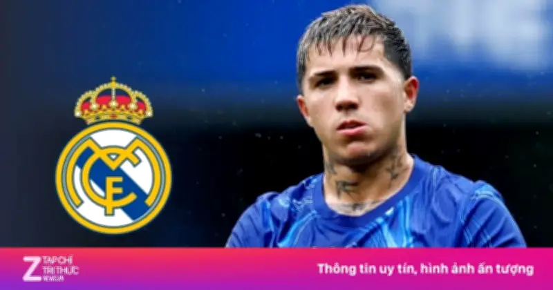 Enzo Fernandez Quyết Rời Chelsea, Hướng Đến Real Madrid Mùa Hè 2026