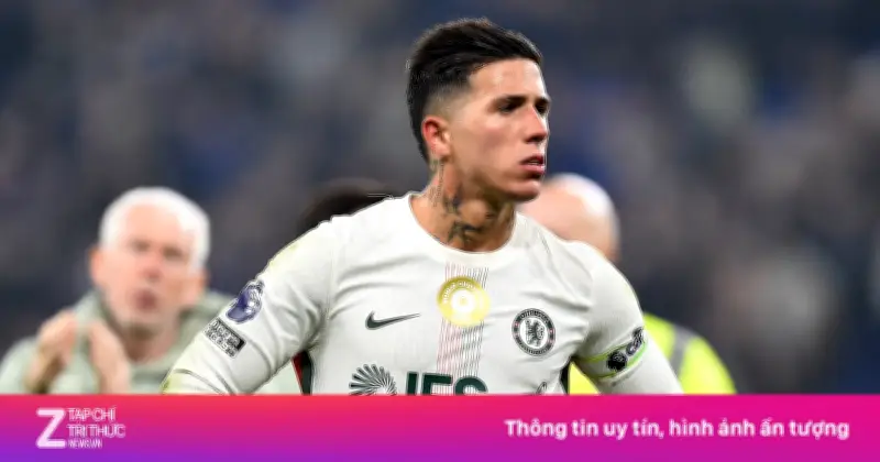 Enzo Fernandez Xin Lỗi Sau Phát Ngôn Gây Tranh Cãi, Chelsea Áp Dụng Kỷ Luật