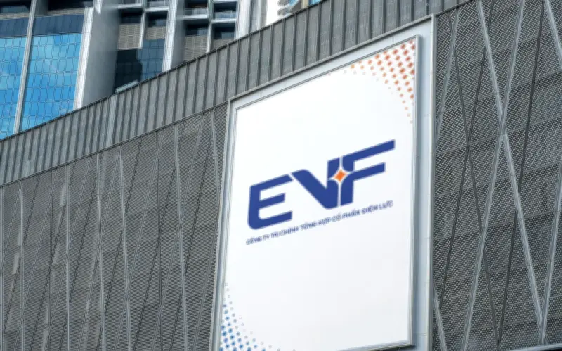 EVF Ghi Nhận Lợi Nhuận Tăng 8,1% Trong Quý I/2026, Duy Trì Đà Tăng Trưởng Vững Chắc