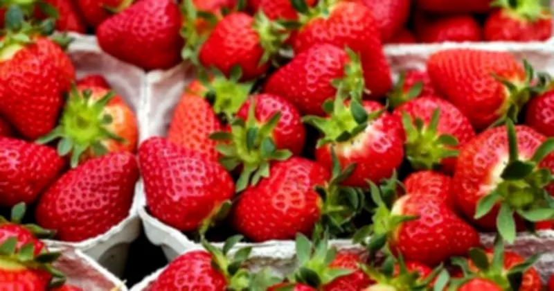 EWG Công Bố Danh Sách Rau Quả Nhiễm Thuốc Trừ Sâu Cao Nhất Năm 2026