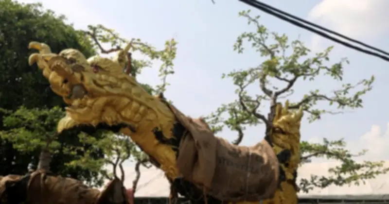 Festival sinh vật cảnh Cây xanh di sản lần III khai mạc tại TP.HCM