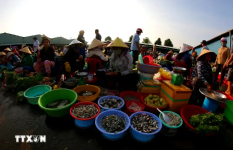 Ghế thăm khu chợ gây thương nhớ cho du khách ở Cần Thơ