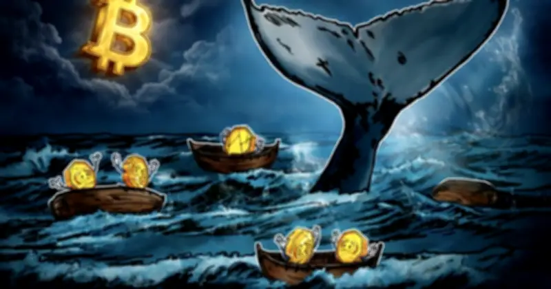 Giá Bitcoin Biến Động Mạnh, Đối Mặt Với Rủi Ro Từ Điện Toán Lượng Tử