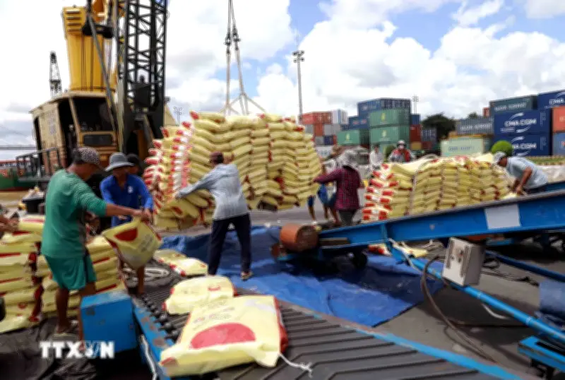 Giá gạo trong nước tăng, thị trường xuất khẩu vẫn ảm đạm