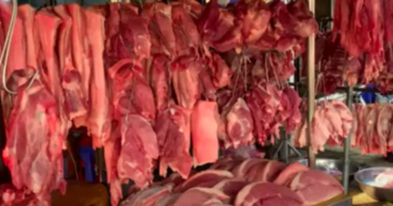 Giá heo hơi cả nước hồi phục, trở lại mốc 65.000 đồng/kg nhờ đà tăng từ miền Bắc