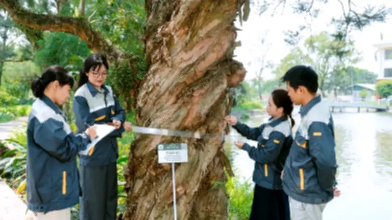 Giữ Hồn Nam Dược: Bảo Tồn Tri Thức Bản Địa Và Ứng Dụng Công Nghệ Số