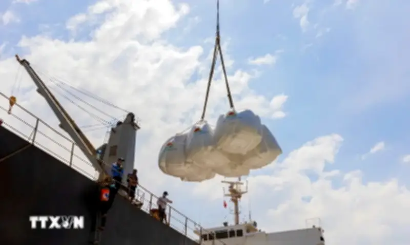 Giá lúa gạo Việt Nam tăng mạnh, gạo thơm chạm ngưỡng 500 USD/tấn