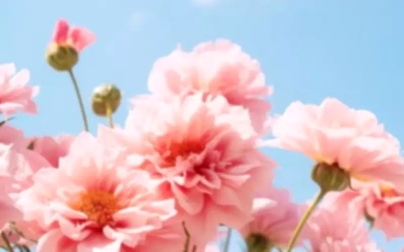 Giờ sinh âm lịch của phụ nữ: Sống nhẹ nhàng, ít thị phi, nhiều phúc lộc