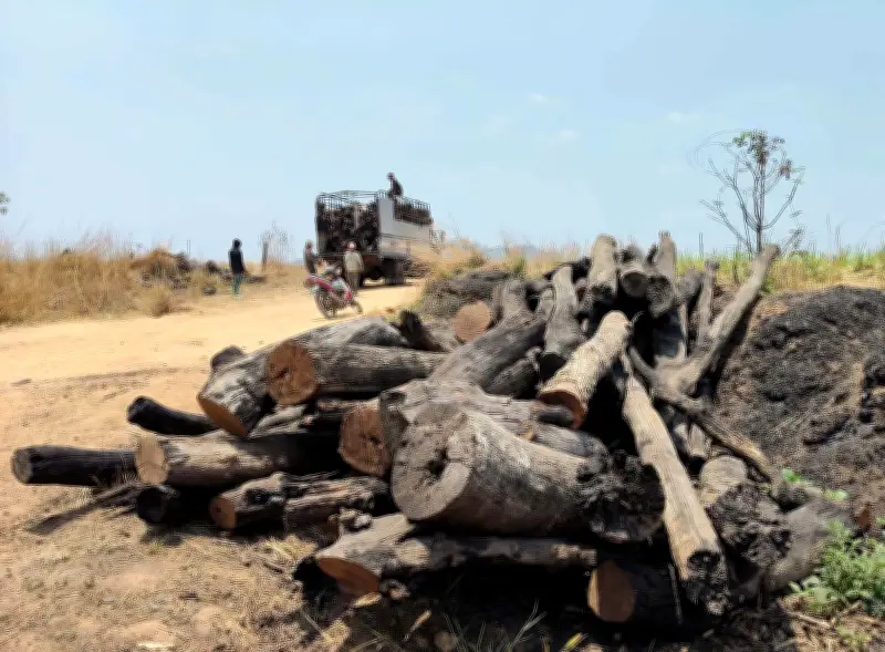 Gia Lai: Lộ diện chuỗi khai thác, tập kết lâm sản trái phép tại khu vực giáp ranh