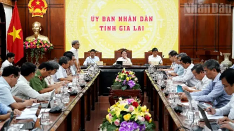 Gia Lai Quyết Liệt Bình Ổn Giá Giữa Biến Động, Ngăn Chặn 'Té Nước Theo Mưa'