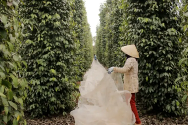 Giải bài toán khát lao động nông thôn tại TP.HCM: Thách thức và giải pháp