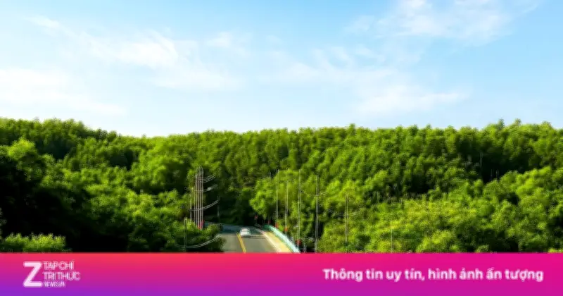 Giải Chạy Xuyên Rừng - Chạm Biển Cần Giờ Bán Hết Vé Chỉ Sau 12 Ngày Mở Bán