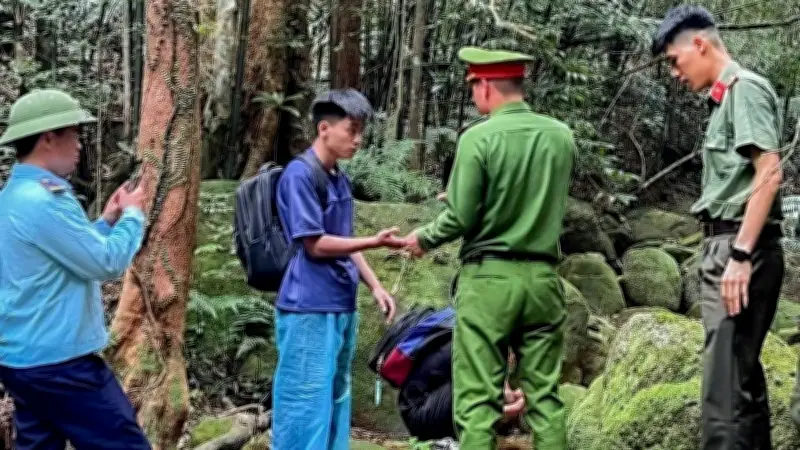 Giải cứu hai sinh viên lạc rừng Tây Yên Tử, một người bị ong đốt