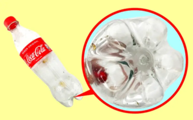 Giải mã khoa học đằng sau đáy chai nước ngọt hình cánh hoa