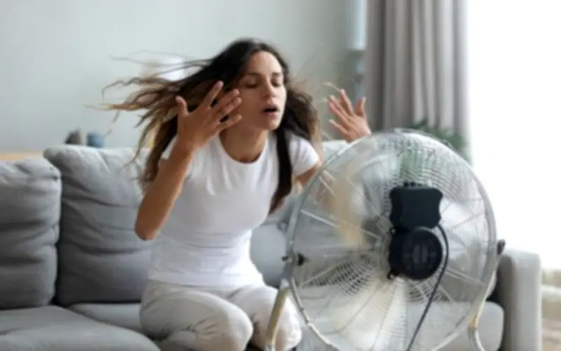 Giải Pháp Làm Mát Nhà Đơn Giản, Hiệu Quả Trong Mùa Nắng Nóng Không Cần Điều Hòa