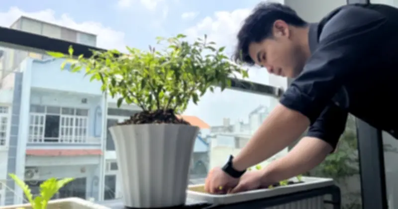 Giải pháp xanh cho căn hộ đô thị: Tận dụng ban công để đối phó nắng nóng