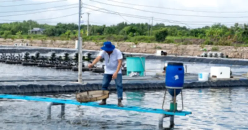 Giải Quyết Nhanh Vướng Mắc Giám Sát Dư Lượng Thủy Sản 2026 Tại Nam Bộ