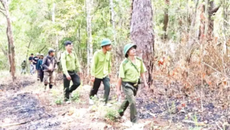 Giải Thưởng 'Người Giữ Rừng Chư Yang Sin' Mùa 3: Vinh Danh Sự Hy Sinh Giữa Đại Ngàn