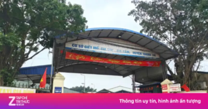 Giám đốc Công an Hà Nội: Làm rõ dấu hiệu thông đồng vụ 300 tấn lợn bệnh vào trường học