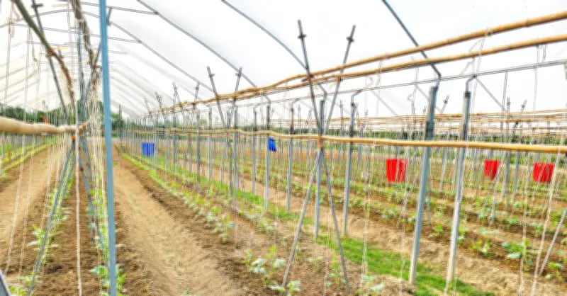 Giảm nghèo thông tin ở Tuyên Quang: Thay đổi tư duy để thoát nghèo bền vững