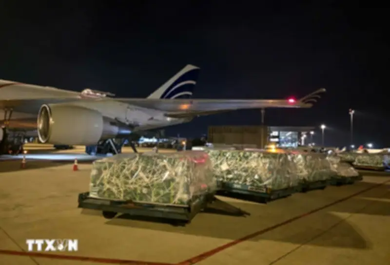 Gần 100 Tấn Rau Quả Tươi Việt Nam Xuất Khẩu Thành Công Sang Thị Trường UAE