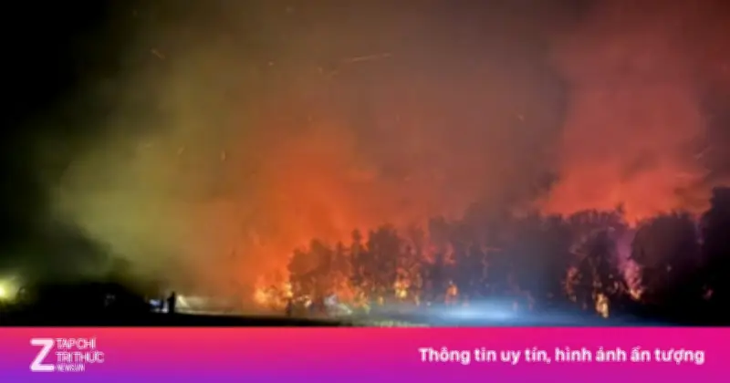 Gần 5 ha rừng tràm ở An Giang bị thiêu rụi sau hơn một ngày cháy