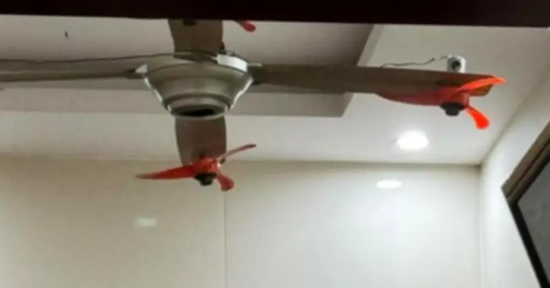 Gắn Thêm Cánh Lên Quạt Trần: Sáng Tạo Độc Lạ Nhưng Tiềm Ẩn Nguy Cơ An Toàn