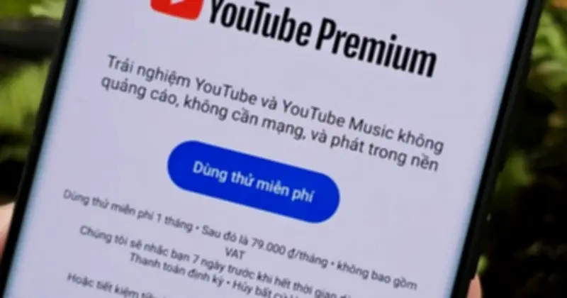 Google Giảm 50% Phí YouTube Premium Cho Người Dùng Google One