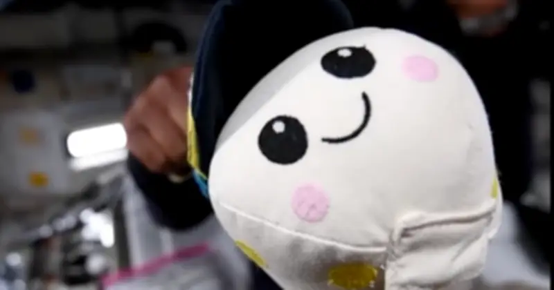 Gấu bông Rise: Linh vật Artemis II và thiết bị báo hiệu không trọng lực đặc biệt