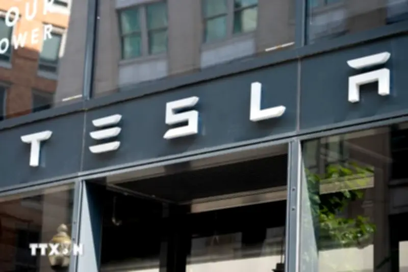 Hà Lan Cấp Phép Cho Hệ Thống Lái Xe Tự Động Có Giám Sát Của Tesla