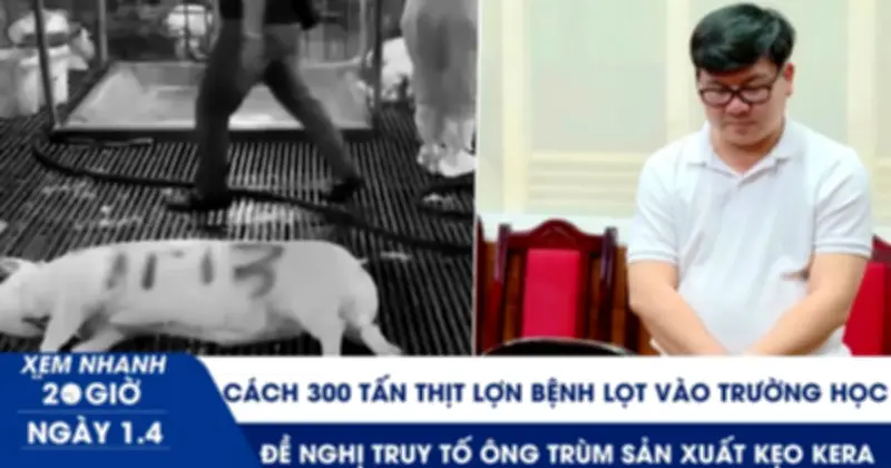 Hà Nội: 300 Tấn Thịt Lợn Bệnh Lọt Kiểm Dịch Vào Trường Học, Cán Bộ Thú Y Tiếp Tay