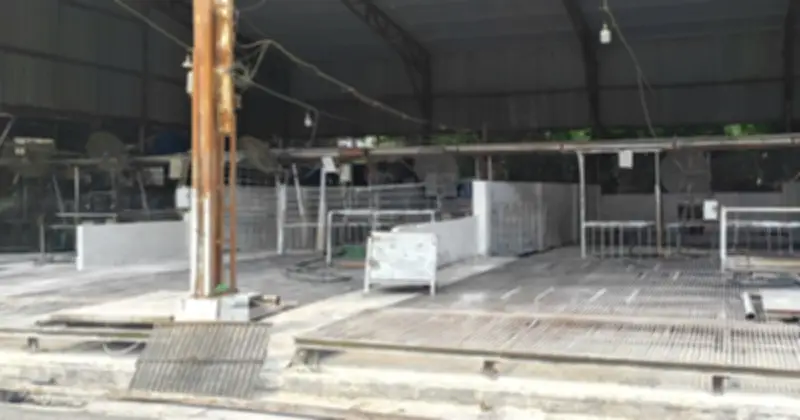 Hà Nội khởi tố 8 bị can trong đường dây heo bệnh vào trường học