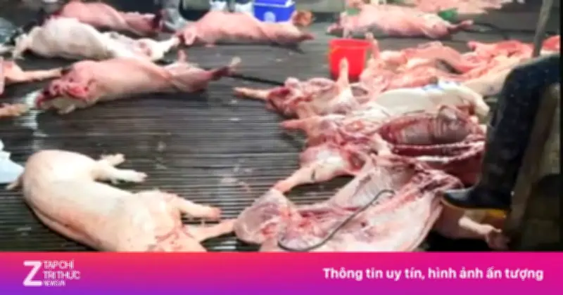 Hà Nội: Lộ danh tính hai trường học sử dụng thịt từ công ty liên quan vụ 300 tấn lợn bệnh